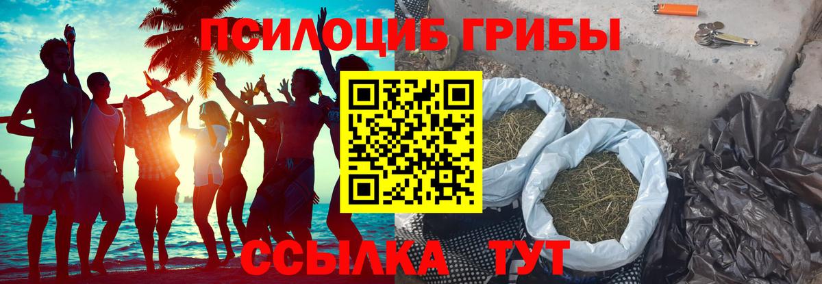 Псилоцибиновые грибы Psilocybe  Гусиноозёрск  Псилоцибиновые грибы ЛСД 